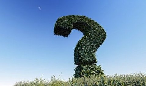 Copyrigh: Arek Socha/Pixabay_a big green question mark in front of a blue sky. The question mark is made from a bush.