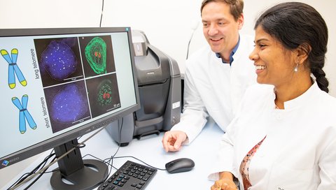 ): Professor Dr Christian Bär and Dr Shambhabi Chatterjee sit in front of a monitor and look at images of heart muscle cells under a fluorescence microscope.