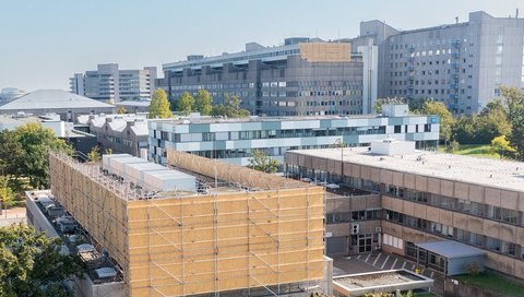 View of MHH campus with the ward block in the background.