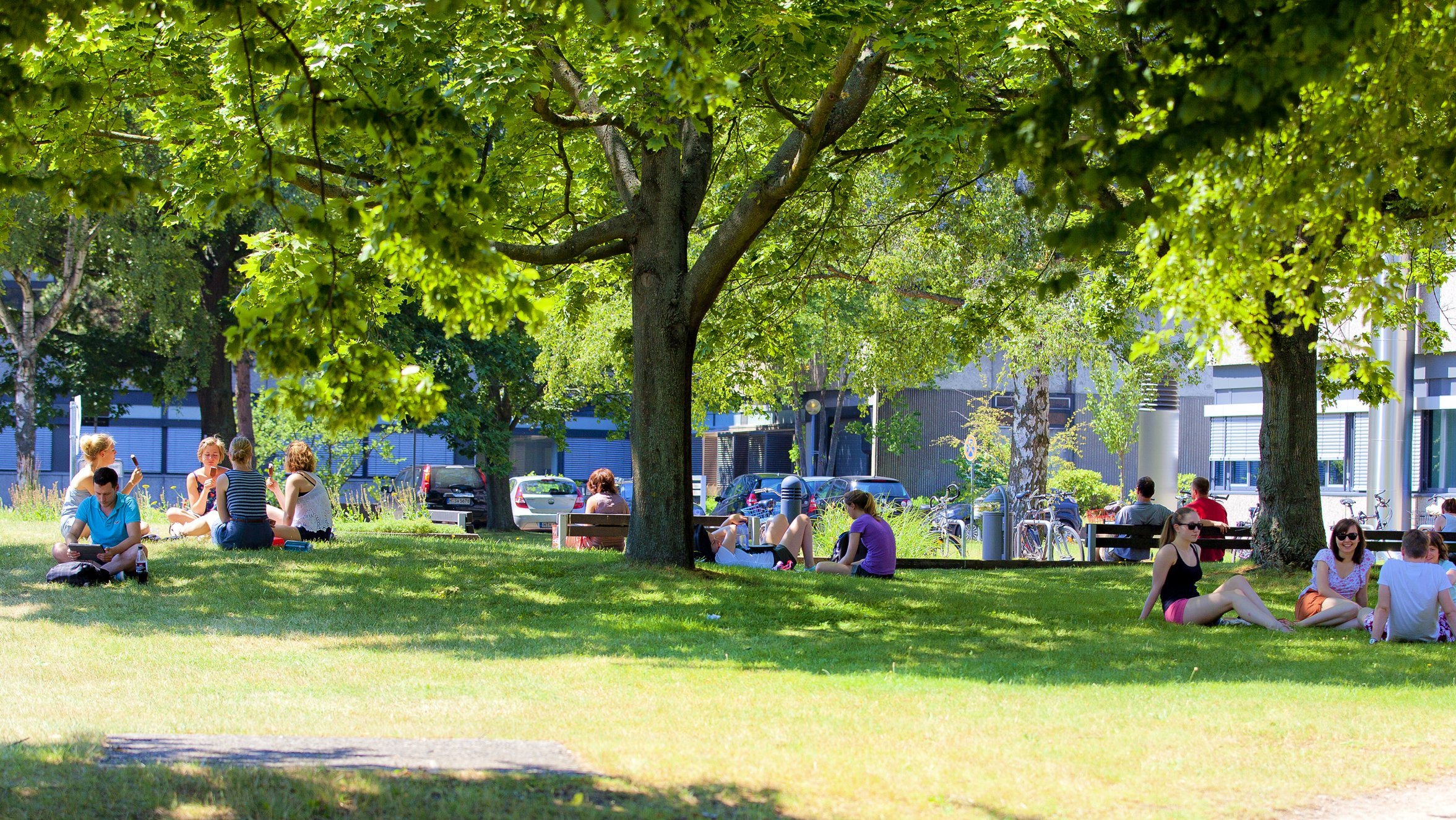 Eine grüne Wiese auf dem MHH-Campus, mehrere Menschen sitzen auf dem Rasen.