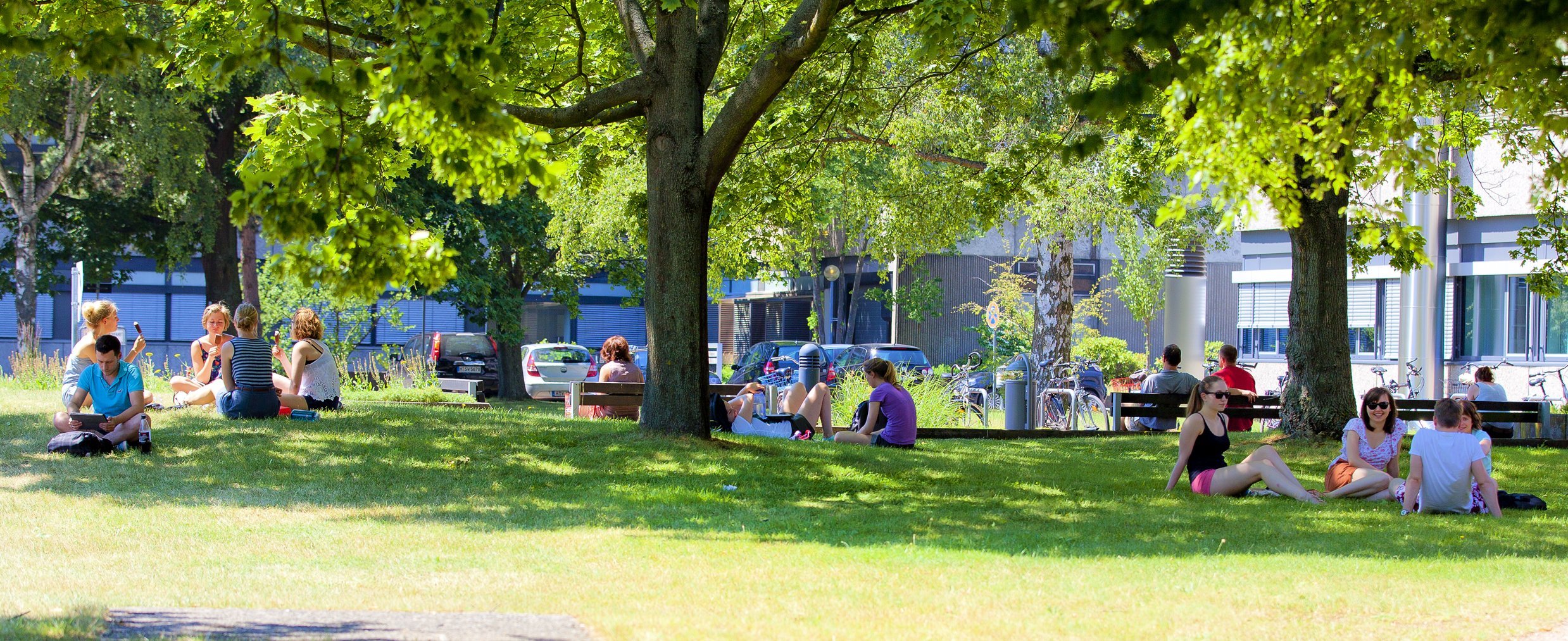 Studierende der MHH sitzen auf einer grünen Wiese. 