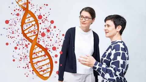 Two women look at a red DNA double cord.