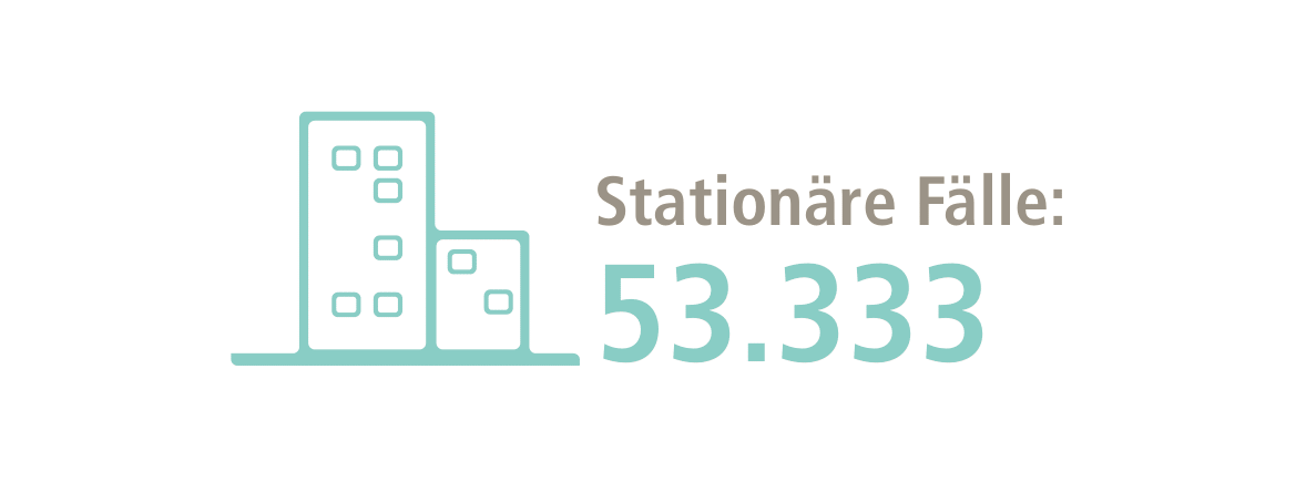 Grafik mit Krankenhaus-Bild und Anzahl der stationären Fälle.