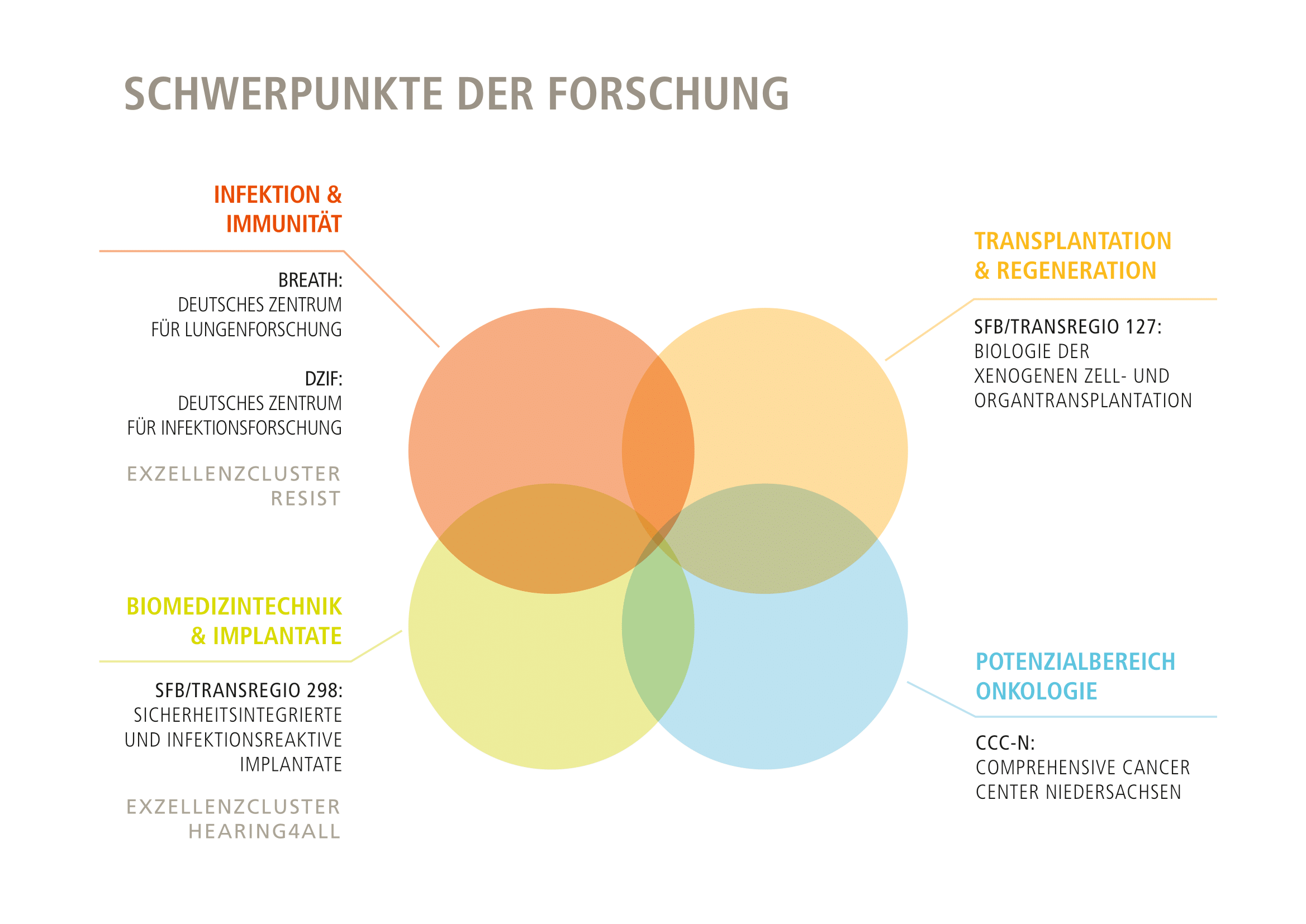 Grafik mit Kreisen zeigt die Forschungsschwerpunkte der MHH