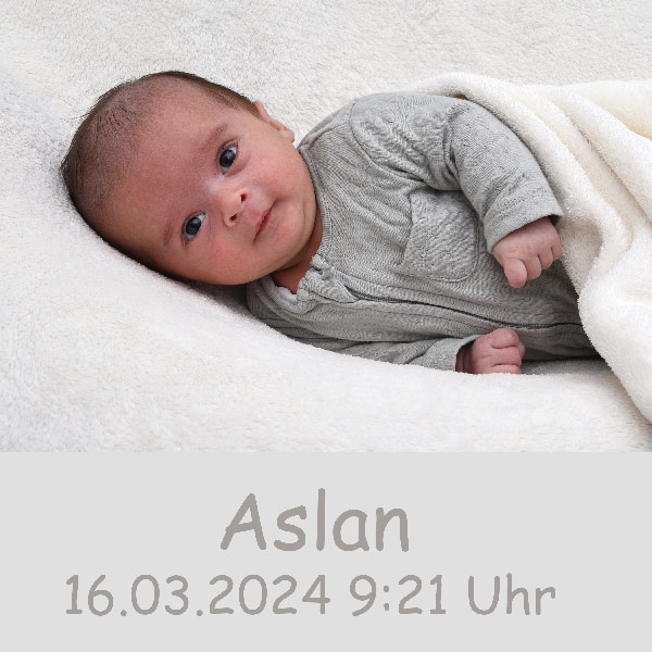 Baby Aslan