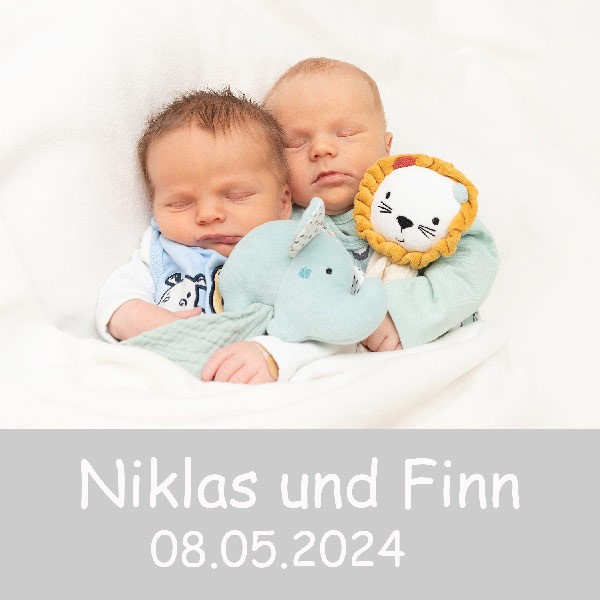 Babys Niklas und Finn