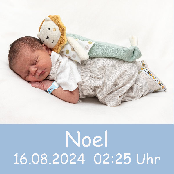 Baby Noel