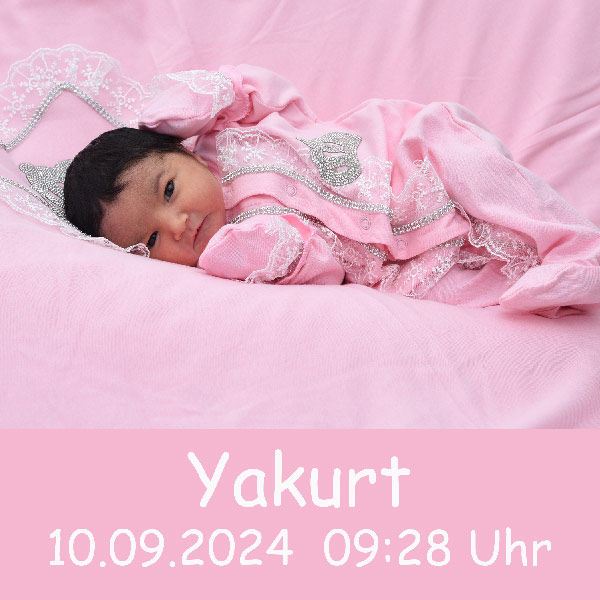 Baby Yakurt