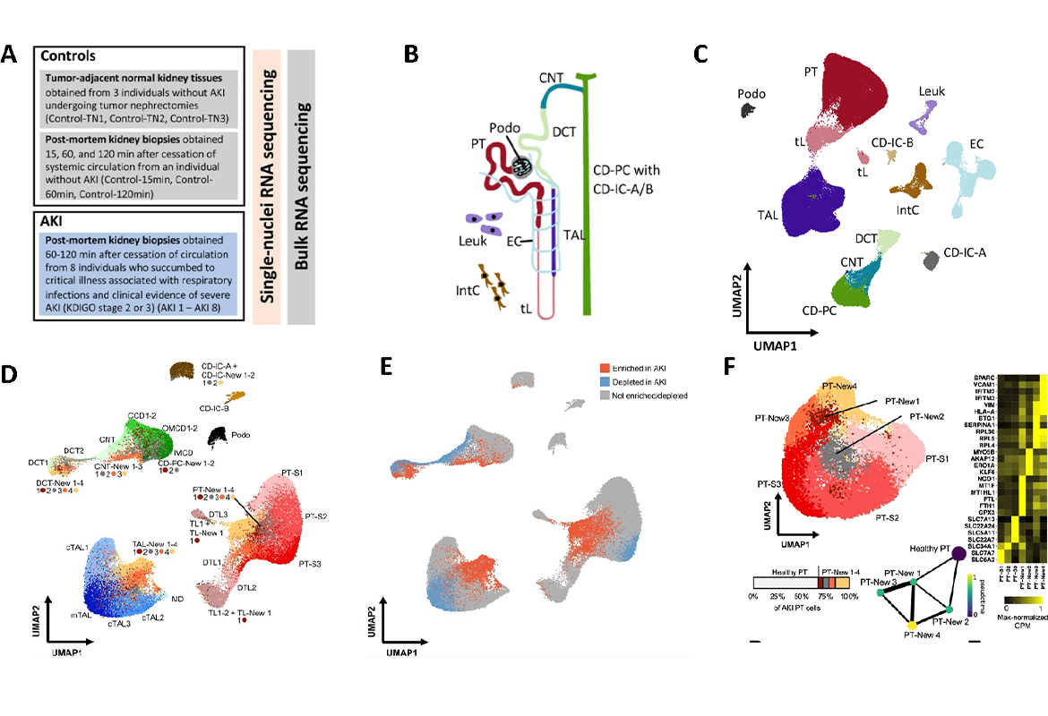 modifiziert nach Hinze et al., Genome Medicine 2022