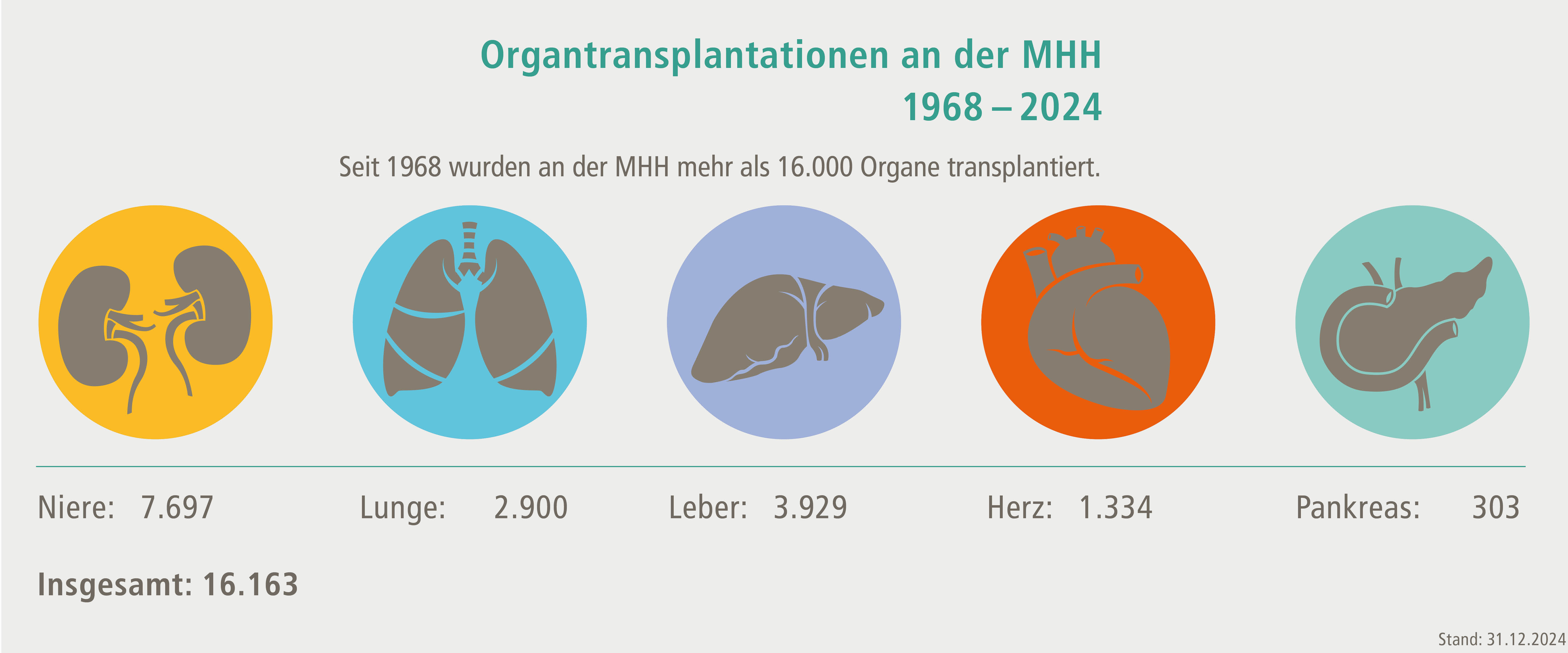 Von 1968 bis einschließlich 2024 hat die MHH insgesamt 16.137 Organtransplantationen vorgenommen. Copyright: MHH / Transplantationszentrum